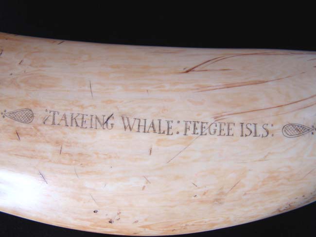 A large scrimshawed Sperm Whale's Tooth depicting a Whaling hunt off the 'Feegee' Islands. — image 6